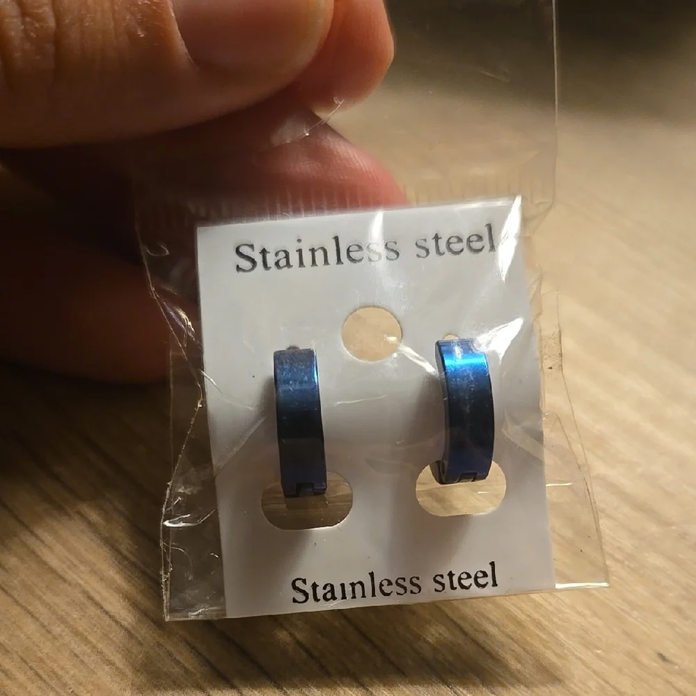 Stainless Steel Blue Earrings